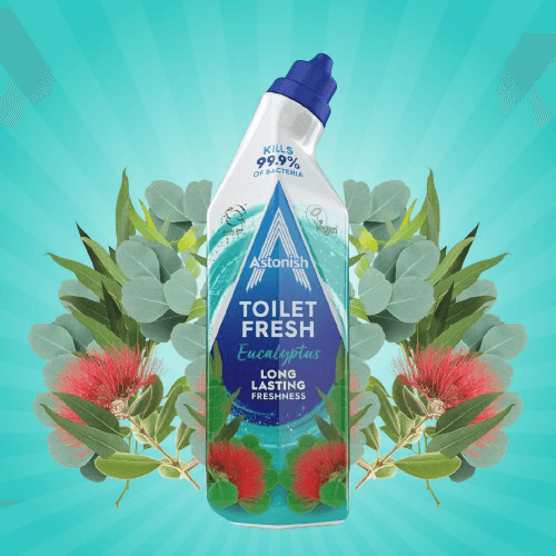 Astonish Toilet Gel Eucalyptus 750ml